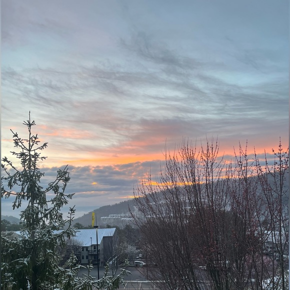 Meet your Posher, Mariam - Picture 1 of 1